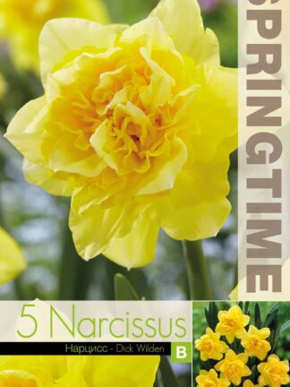 Narcissus Dick Wilden