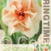 Narcissus Delnashaugh - RB