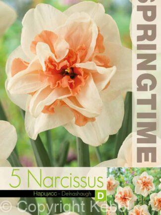 Narcissus Delnashaugh - RB