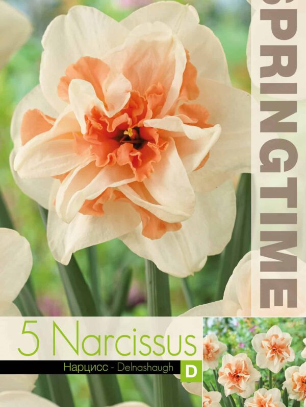 Narcissus Delnashaugh - RB