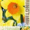 Narcissus Loveday - RB