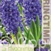 Hyacinthus Peter Stuyvesant - RB