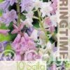 Scilla Campanulata Mixed - RB