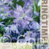 Scilla Siberica - RB