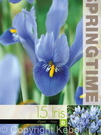 Iris Ret. Alida - RB