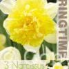 Narcissus Full House - RB