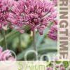Allium Londen - RB