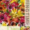 Tulipa Humilis Mixed - RB