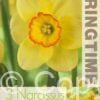 Narcissus Pacific Rim - RB