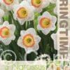 Narcissus Night Cap - RB