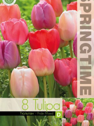 Tulipa Pride Mixed - RB