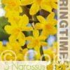 Narcissus Diego - RB