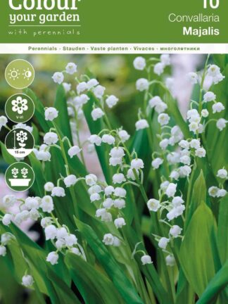 Convallaria majalis