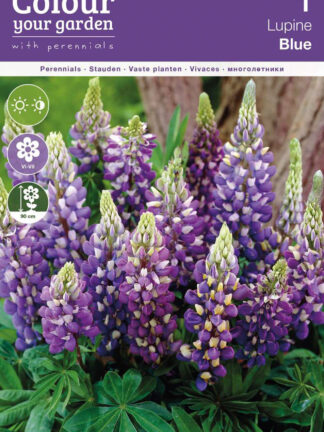 Lupine Blue
