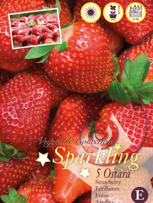 Fragaria Ostara