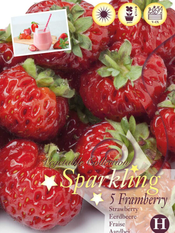 Fragaria Framberry