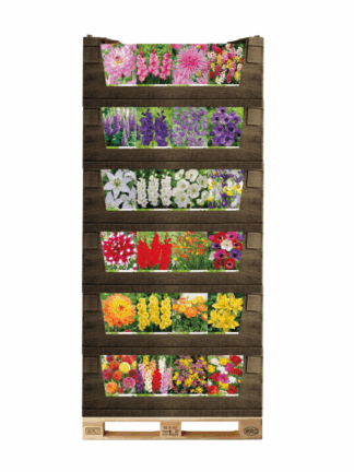 Economy - packages in displayboxes