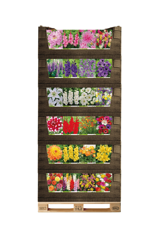 Economy - packages in displayboxes