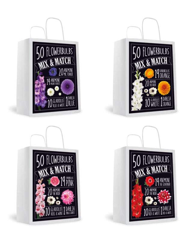 Mix & Match - Mixed Assortment
