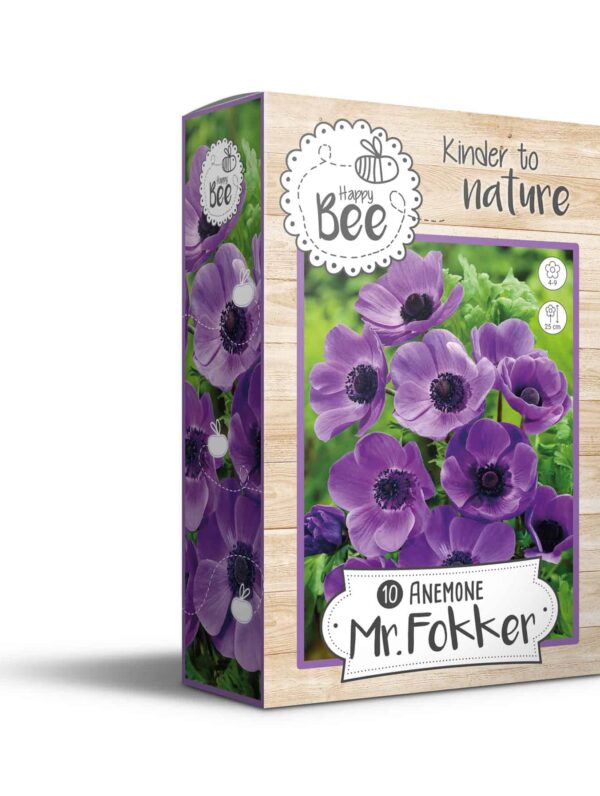 Anemone Mr. Fokker