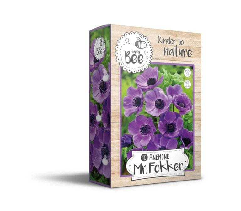 Anemone Mr. Fokker