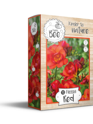 Freesia Red
