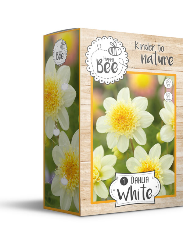 Dahlia White