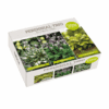Perennial Trio Green