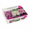 Perennial Trio Pink