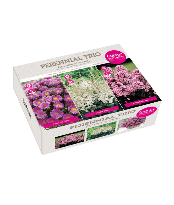 Perennial Trio Pink