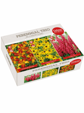 Perennial Trio Red