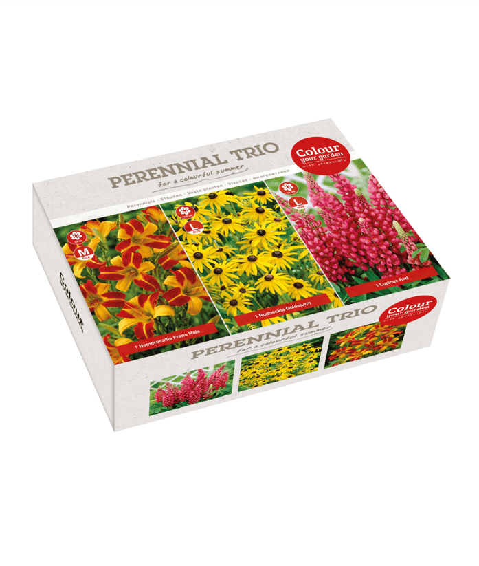 Perennial Trio Red