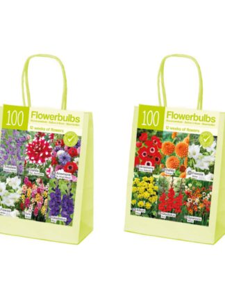 XL-Summer mixed assort.