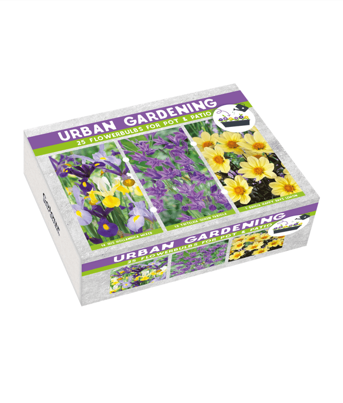 Urban Garden Purple