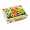 Urban Garden Orange
