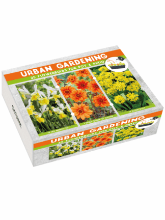 Urban Garden Orange