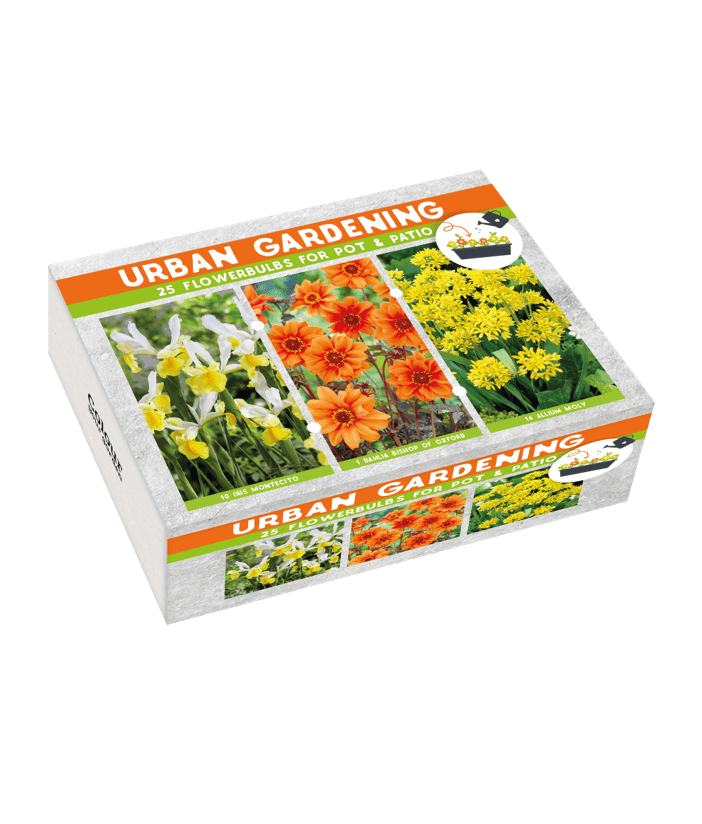Urban Garden Orange