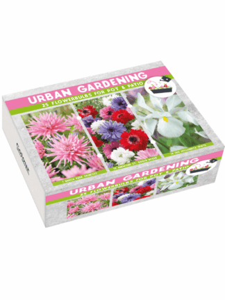 Urban Garden Pink