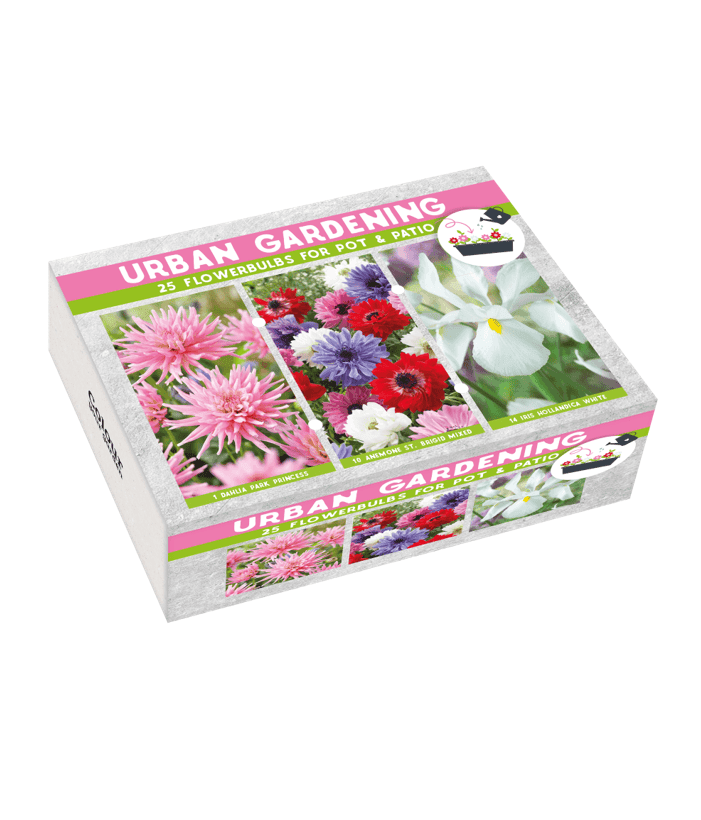 Urban Garden Pink