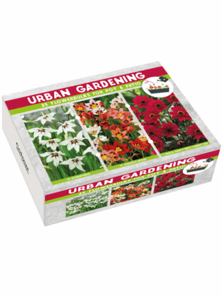 Urban Garden Red