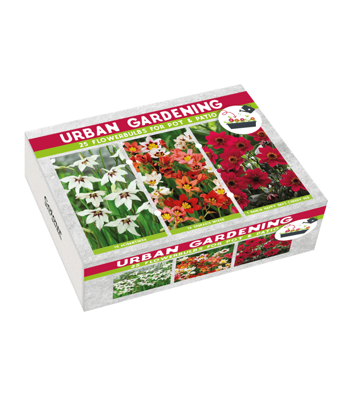 Urban Garden Red