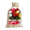 CyG Begonia double mix