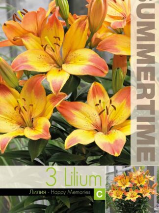 Lilium Happy Memories - RB