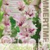 Gladiolus Dreamy Creamy - RB