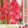 Gladiolus After Shock - RB