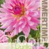 Dahlia Rosella - RB
