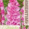 Gladiolus Fairytale Pink - RB