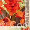 Canna Happy Julia - RB