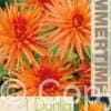 Dahlia Park Record - RB