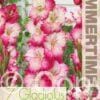 Gladiolus Shanna - RB
